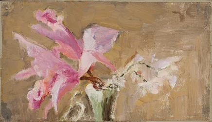 Orchidée