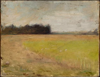Paysage de Finlande