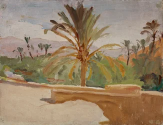Biskra (Oasis avec palmiers)