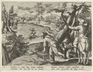 Chasse aux corbeaux et aux étourneaux