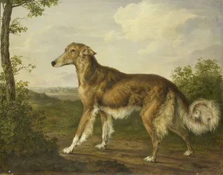 Lévrier sibérien, vers 1825 (huile sur toile)