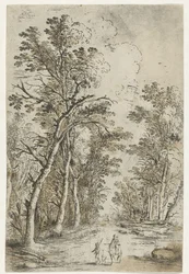 Sentier forestier