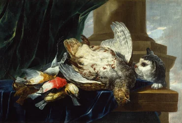 Une perdrix morte et d