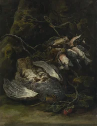 Une perdrix et petits oiseaux de gibier, 1650s