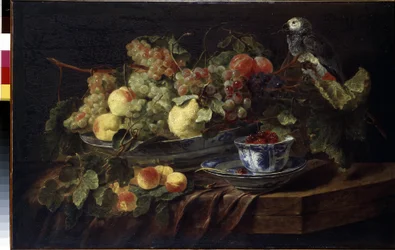 Nature morte aux fruits et au perroquet