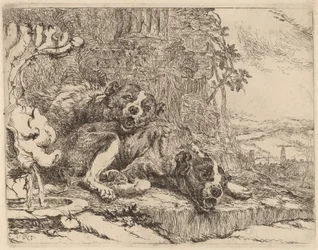 Deux mâtins près d