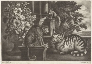 Singe, chat, écureuil et pie