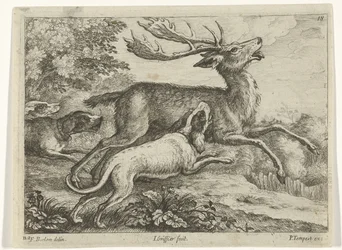 Chasse au cerf