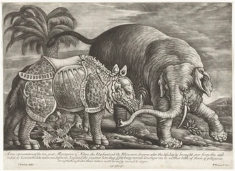 Éléphant et rhinocéros