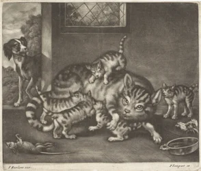 Chat avec cinq chatons