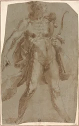 Apollon
