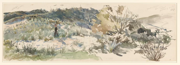 Paysage de dunes