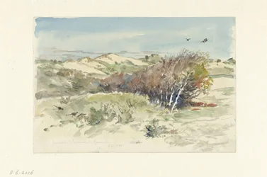 Paysage de dunes entre Bloemendaal et IJmuiden