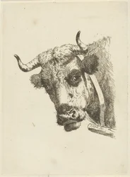Tête de vache