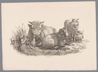 Vache, bélier et deux moutons