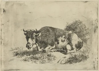 Vache couchée