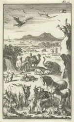 La création