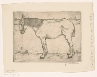 Cheval