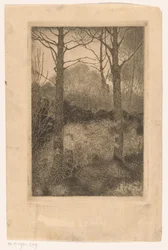 Lisière de forêt