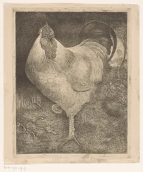 Coq sur une patte