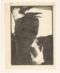 Corbeau sur un bouleau
