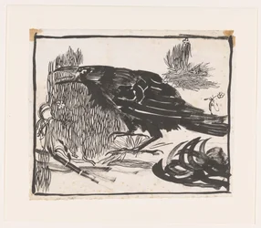 Corbeau criant