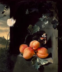 Nature morte avec abricots et papillons, 1683