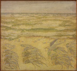 Dune et mer