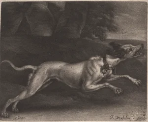 Un chien courant