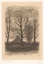Ferme entre grands arbres, Ewijkshoeve