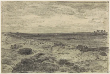 Paysage de bruyère près de Laren