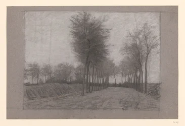 Chemin de campagne bordé d’arbres des deux côtés