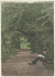 Homme lisant dans une allée forestière