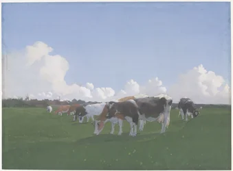 Vaches paissant dans un pré