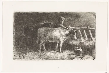 Paysans entre deux vaches près d