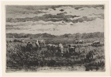 Paysage avec des moutons
