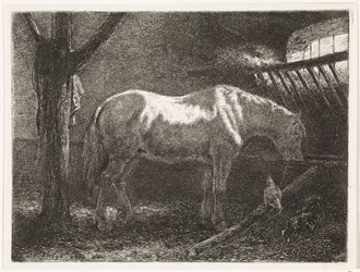 Cheval dans une étable