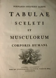 Albinus I, page de titre, de 