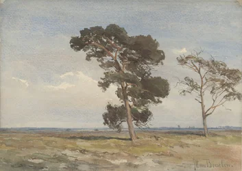 Vue sur la lande avec deux arbres