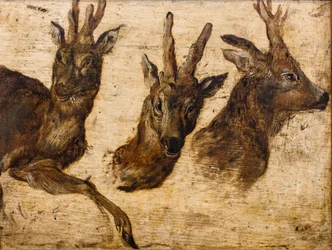 Tête de brocards (huile sur toile)