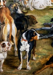Chiens (détail)