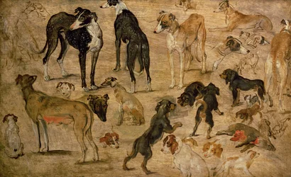 Étude de chiens, 1616