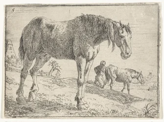 Cheval debout (Landschappen met paarden)