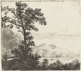 Paysage avec arbre au bord d