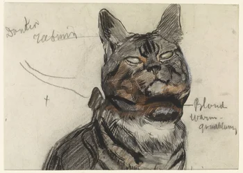 Chat, avec des annotations de couleur