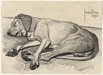 Chien endormi, vers la gauche