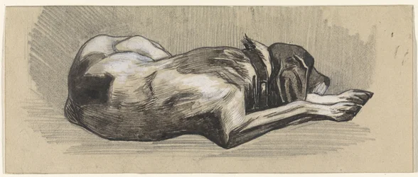 Chien endormi, vers la droite