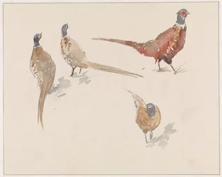 Quatre faisans