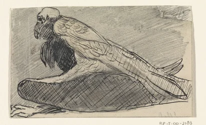 Vautour assis