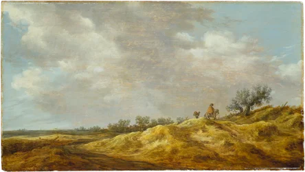 Chemin à travers les dunes